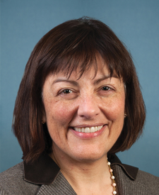 Official portrait of Rep. Suzan K. DelBene